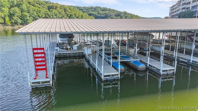 dock area featuring a water view and boat lift