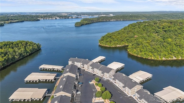 birds eye view of property with a forest view and a water view