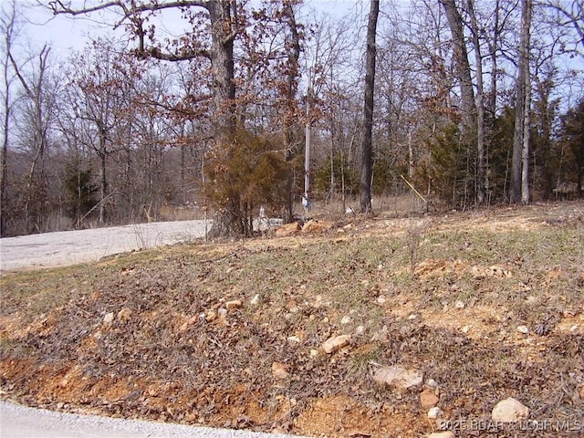 Listing photo 3 for LOT1 Lake Of The Woods Dr, Macks Creek MO 65786