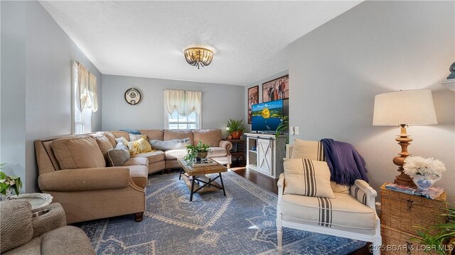 431 Lombar St, Iberia, MO 65486 - photo 9