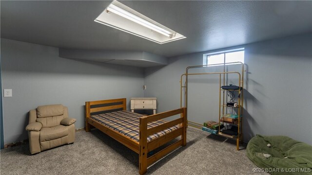 431 Lombar St, Iberia, MO 65486 - photo 30