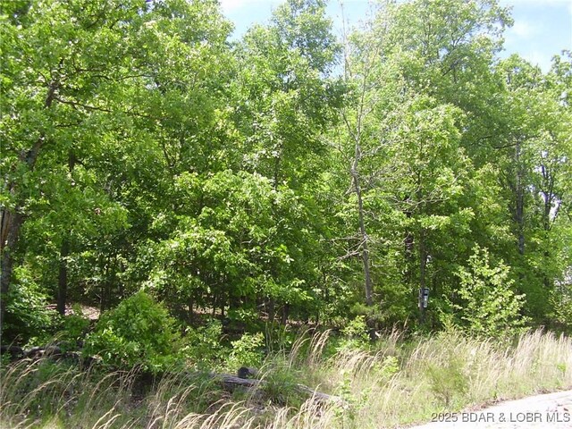 20 Silver Spur Ct, Camdenton, MO 65020