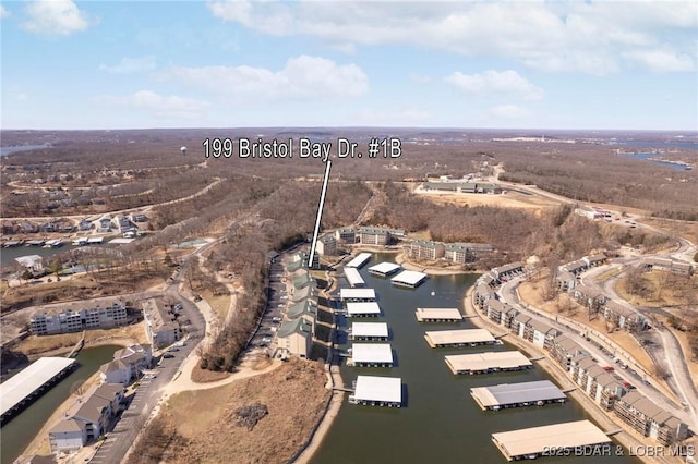 bird's eye view with a water view