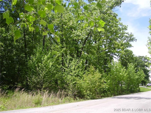 26 Silver Spur Ct, Camdenton MO, 65020 land for sale