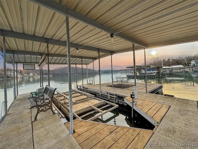 dock area with a water view