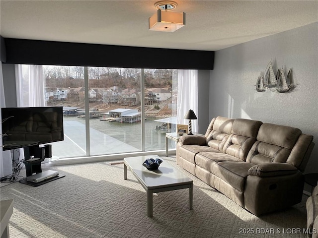 living area with a textured wall and carpet floors