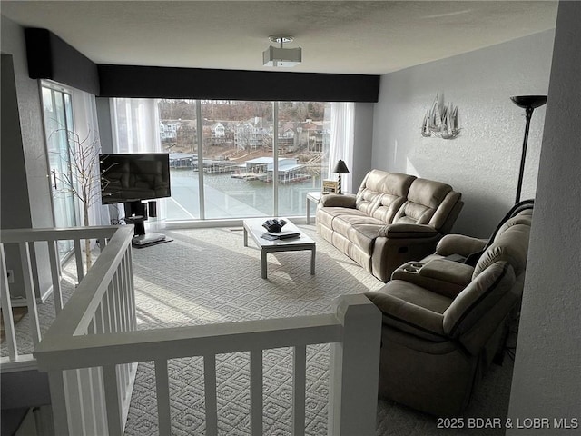 living area with carpet flooring and a textured wall