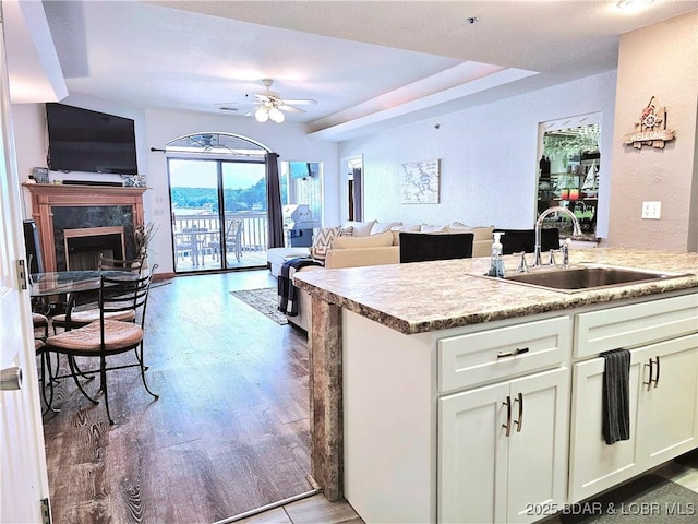 kitchen with a ceiling fan, wood finished floors, a premium fireplace, a sink, and open floor plan