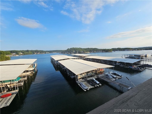 dock area with a water view