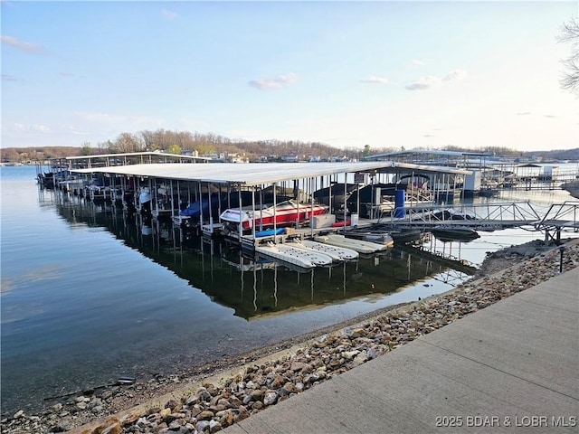 dock area featuring a water view