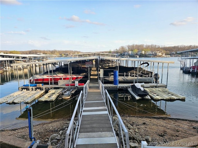dock area featuring a water view and boat lift