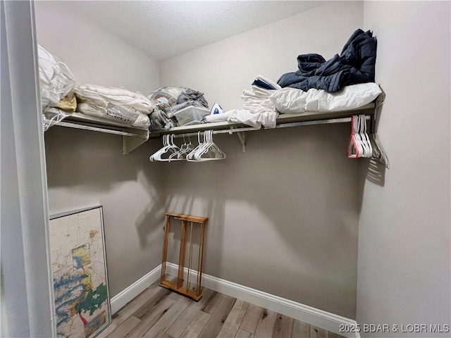 walk in closet featuring wood finished floors