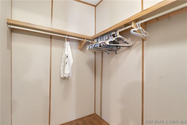 spacious closet featuring wood finished floors