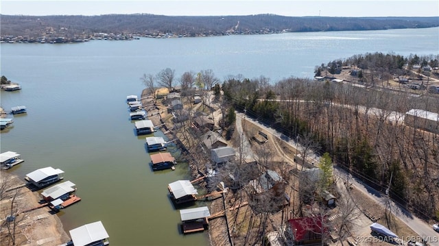 bird's eye view with a water view and a wooded view