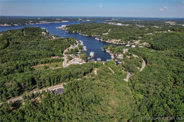 LOT117 Terry Rd, Lake Ozark, MO 65049 - photo 6