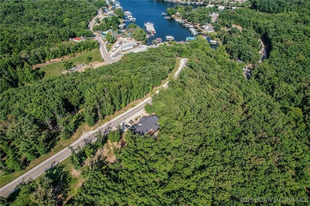 LOT117 Terry Rd, Lake Ozark, MO 65049 - photo 10