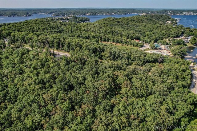 LOT117 Terry Rd, Lake Ozark, MO 65049 - photo 12