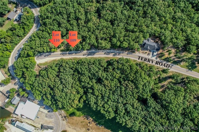 LOT117 Terry Rd, Lake Ozark, MO 65049 - photo 16
