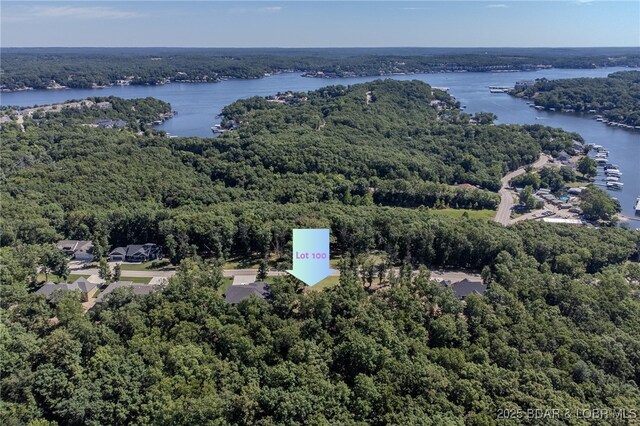 LOT117 Terry Rd, Lake Ozark, MO 65049 - photo 17