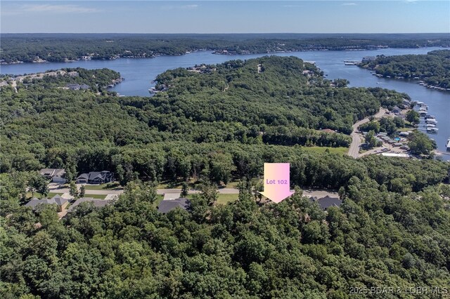 LOT117 Terry Rd, Lake Ozark, MO 65049 - photo 18