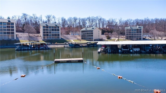 dock area featuring a water view