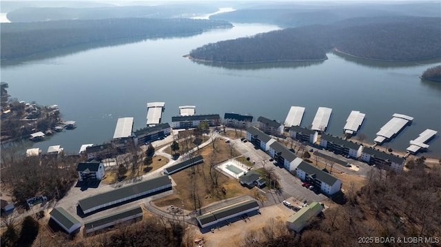 drone / aerial view with a water view