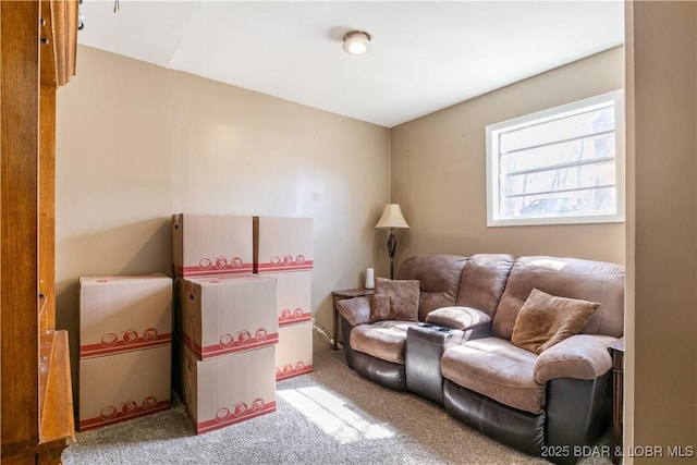 living area with carpet