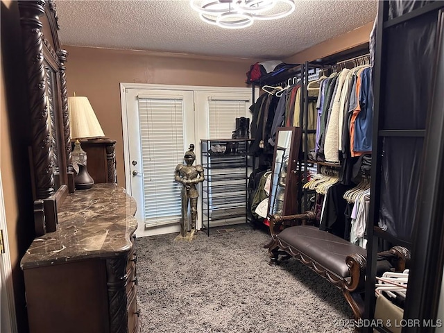 spacious closet featuring carpet floors