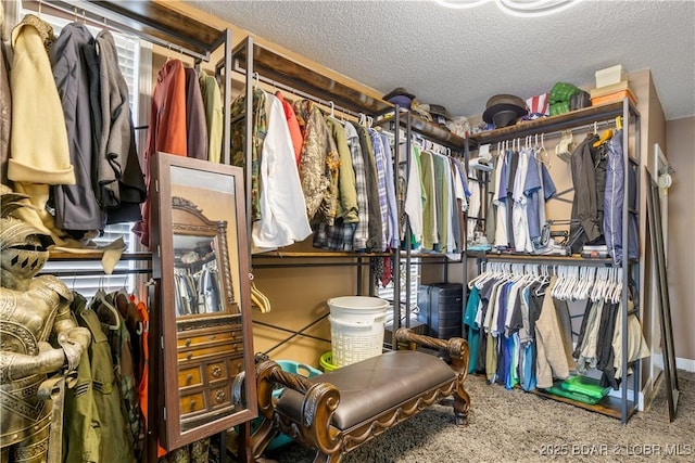 walk in closet with carpet flooring