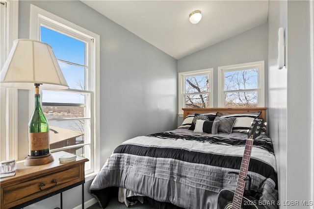 bedroom with lofted ceiling