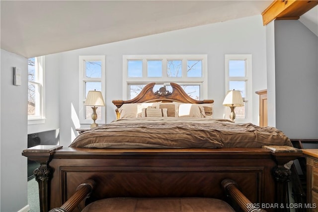 bedroom with lofted ceiling