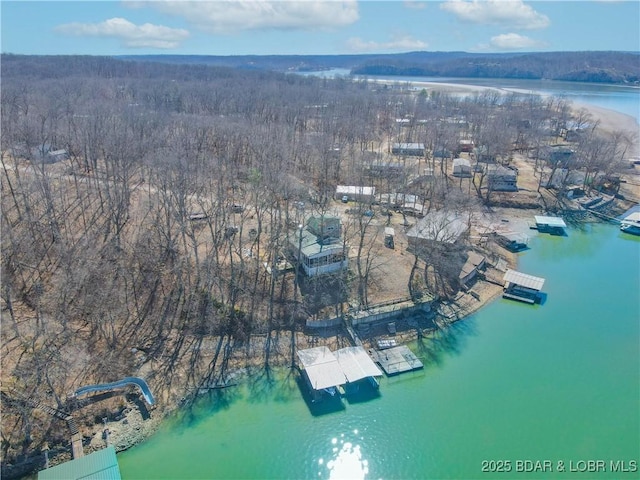 aerial view featuring a forest view and a water view