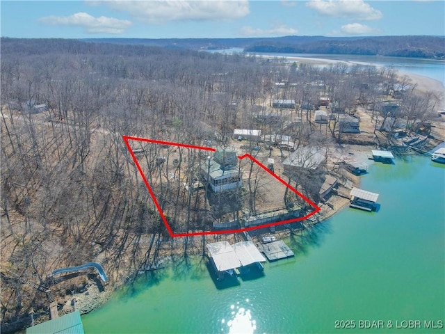 birds eye view of property with a water view and a wooded view