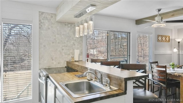 kitchen with a healthy amount of sunlight, stainless steel range with electric stovetop, dishwasher, and a sink