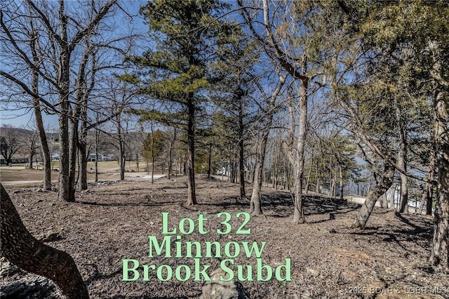 TBD Eagles Landing Lane, Camdenton MO, 65020 land for sale