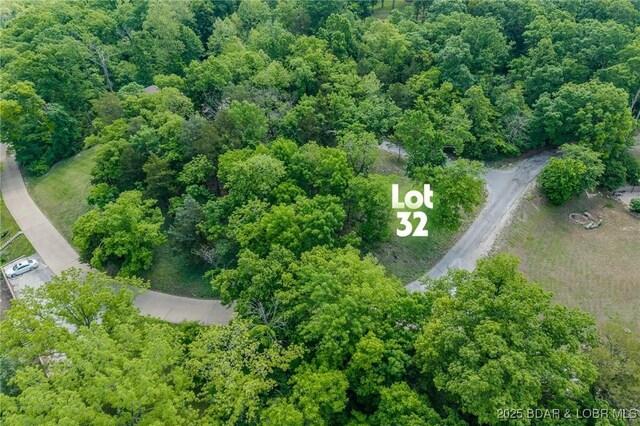 TBD Eagles Landing Lane, Camdenton, MO 65020 - photo 26