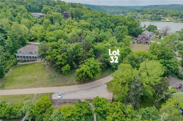 TBD Eagles Landing Lane, Camdenton, MO 65020 - photo 3