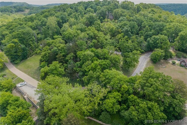 TBD Eagles Landing Lane, Camdenton, MO 65020 - photo 4