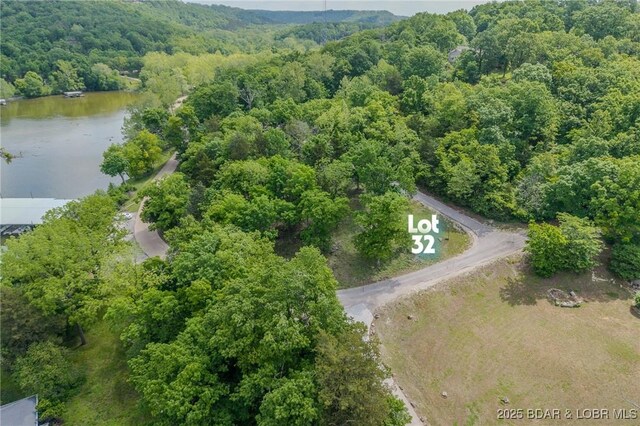 TBD Eagles Landing Lane, Camdenton, MO 65020 - photo 5