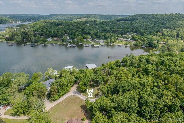 TBD Eagles Landing Lane, Camdenton, MO 65020 - photo 7