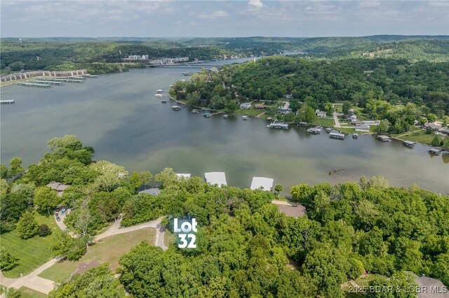 TBD Eagles Landing Lane, Camdenton, MO 65020 - photo 8