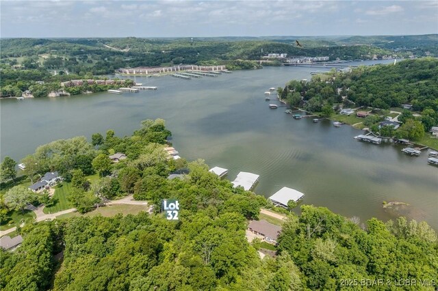 TBD Eagles Landing Lane, Camdenton, MO 65020 - photo 9