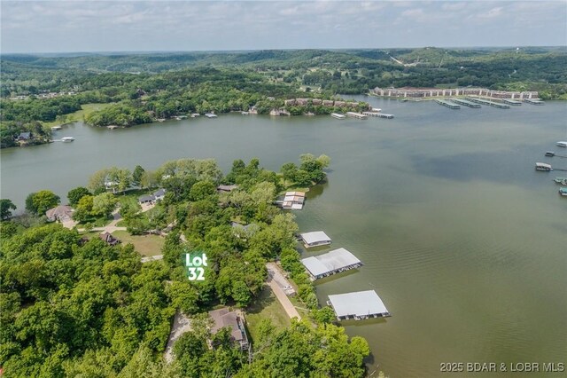 TBD Eagles Landing Lane, Camdenton, MO 65020 - photo 10