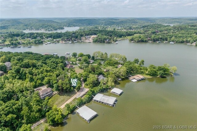 TBD Eagles Landing Lane, Camdenton, MO 65020 - photo 11