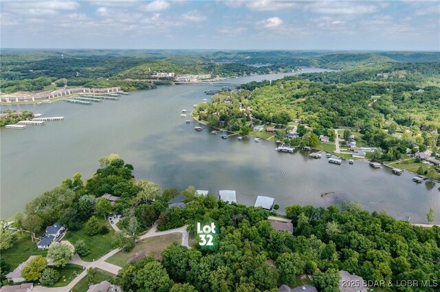 TBD Eagles Landing Lane, Camdenton, MO 65020 - photo 18