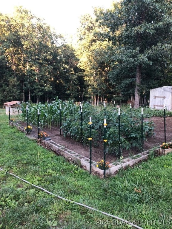 view of yard featuring a garden