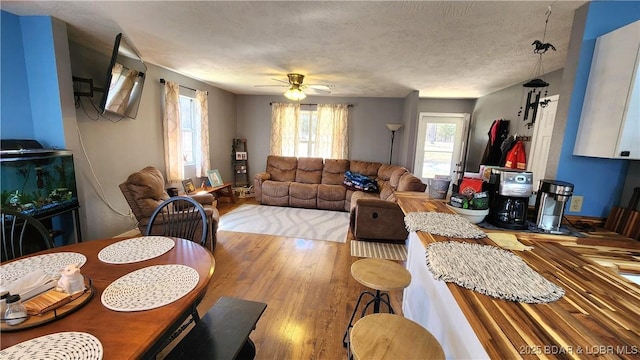 living room featuring ceiling fan, wood finished floors, and a textured ceiling