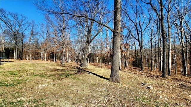 view of yard featuring a forest view and a trampoline