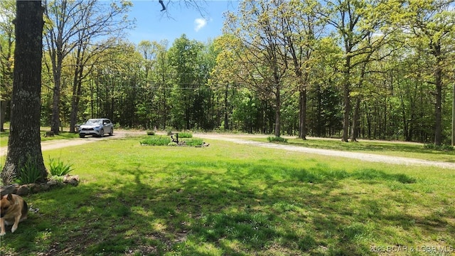 10711 Schick Rd, Stover, MO 65078 - photo 34