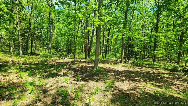 10711 Schick Rd, Stover, MO 65078 - photo 35